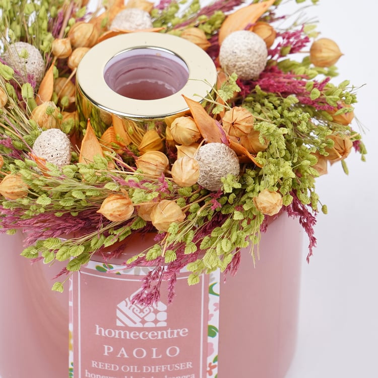 Paolo Honeysuckle and Hydrangea Reed Diffuser Set